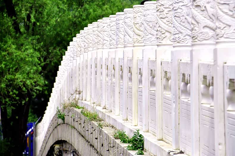 卧波桥横跨南湖,把一池湖水分为东西两部分.