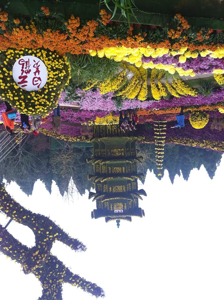 近处排黄鹤楼好多花堆起来的估计很麻烦