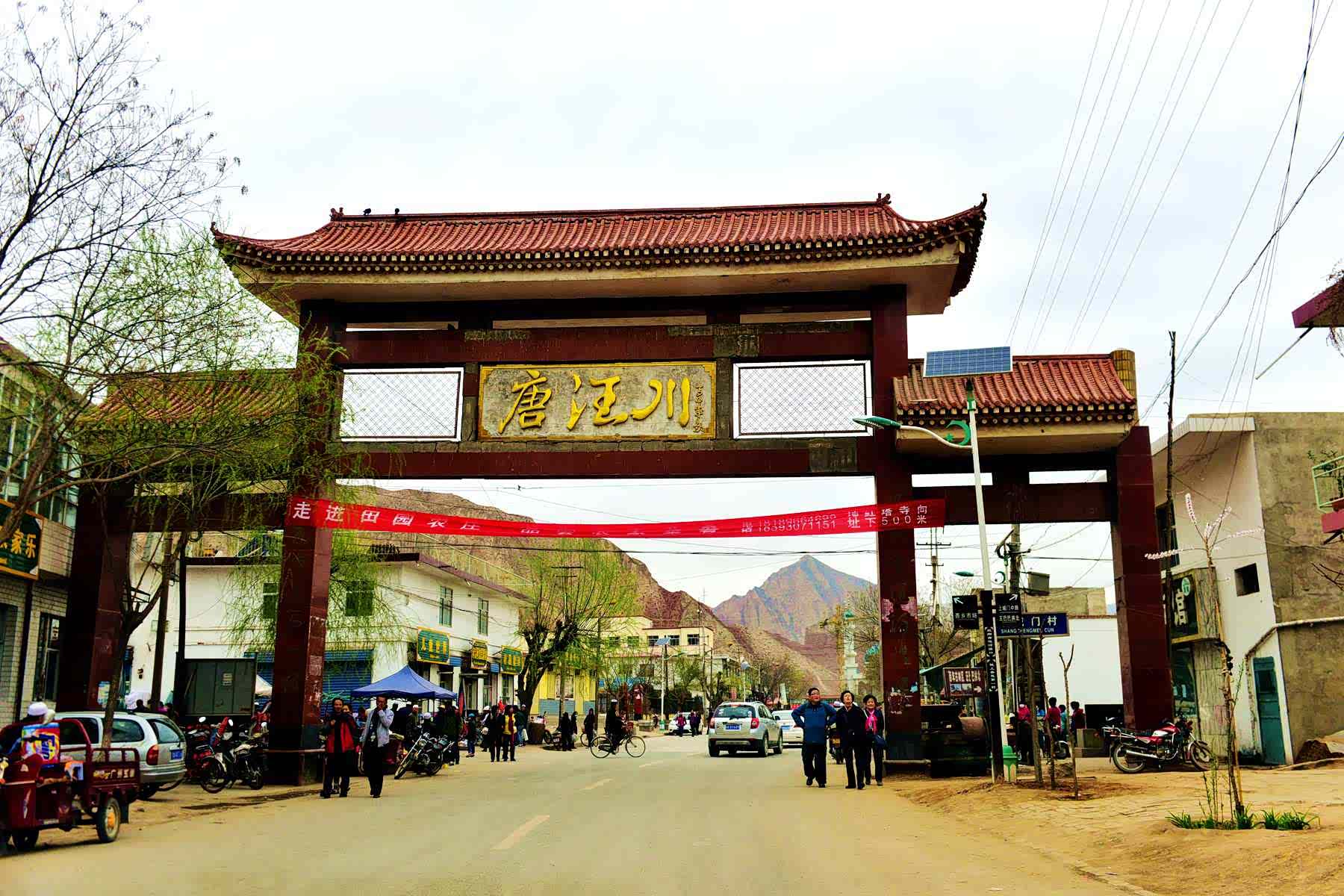 周末天阴,可花季不等人呀,于是一路奔来 东乡族县唐汪镇