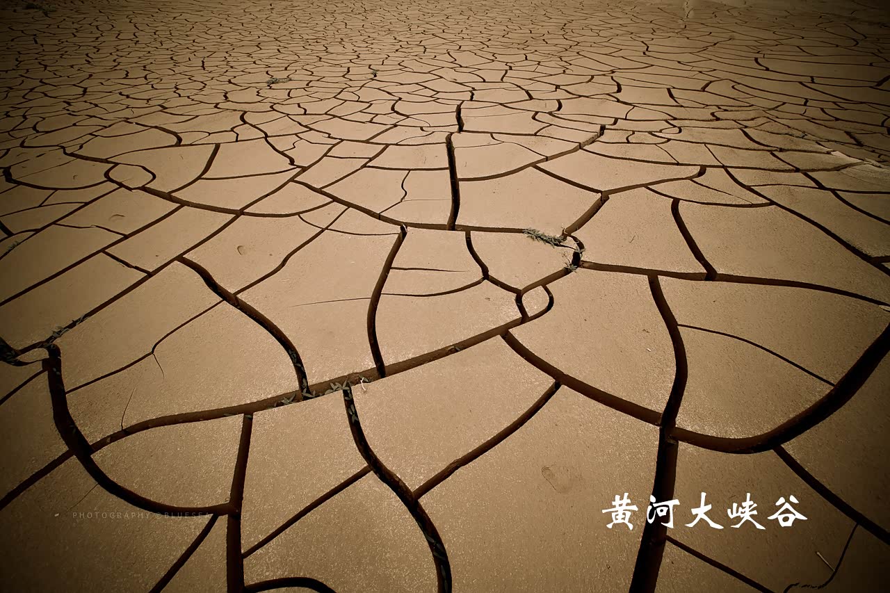 我看见了,黄河的干枯.我看见了,草原的广阔.