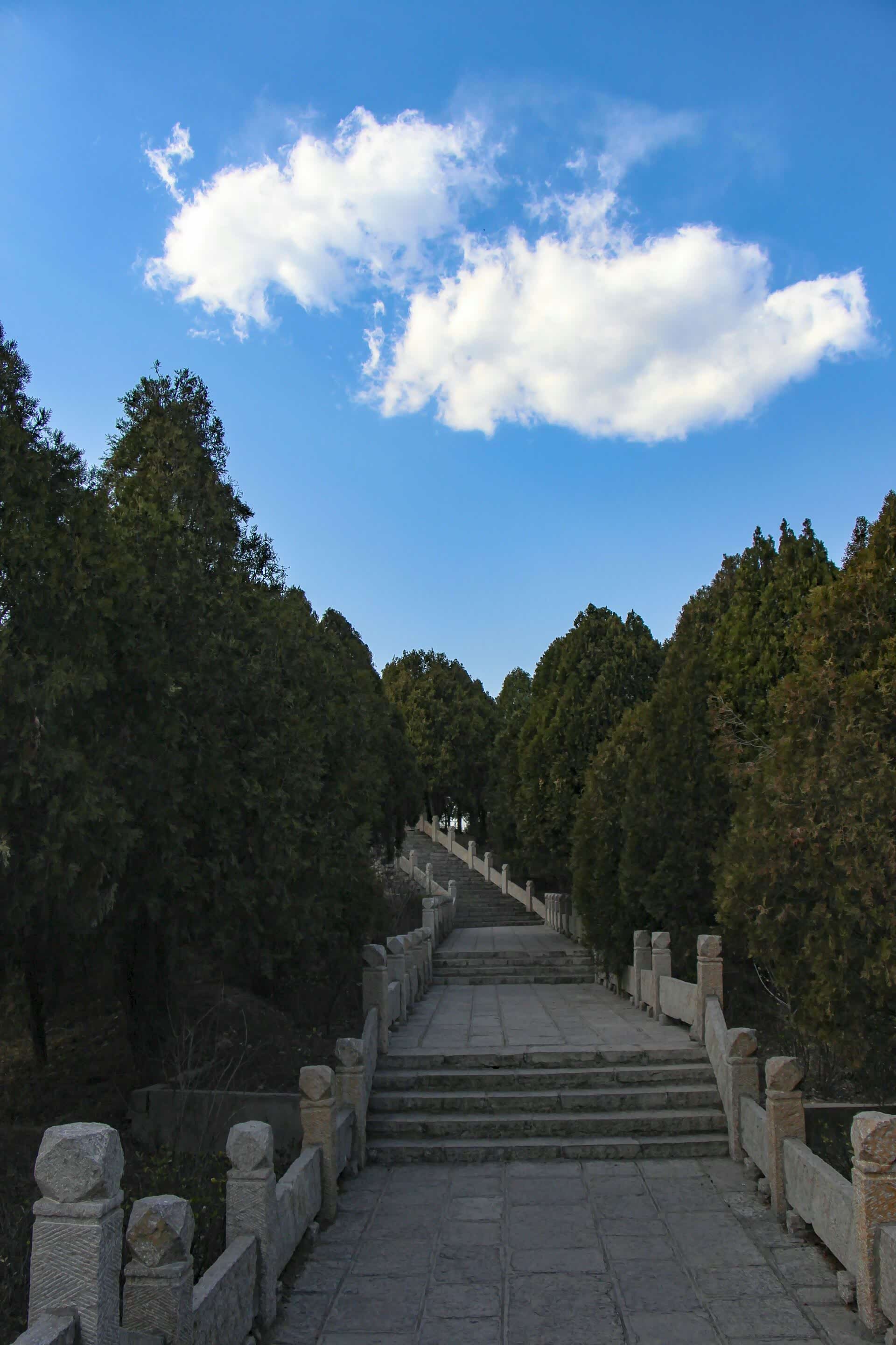 【游记】缅怀革命先烈-踏春将军岭