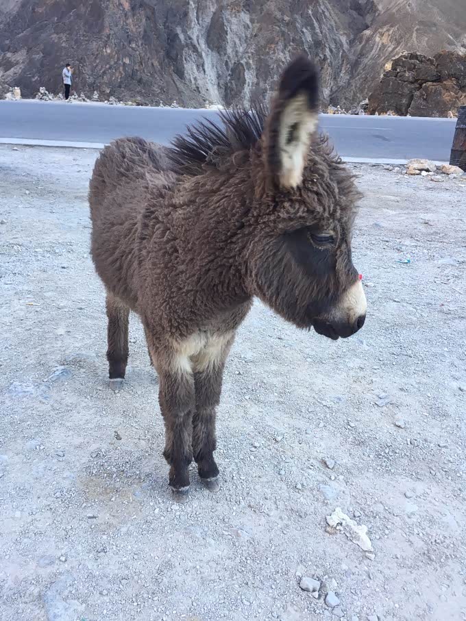【游记】为了心中那条充满挑战的路,丰田霸道8天穿越丙察察线路!