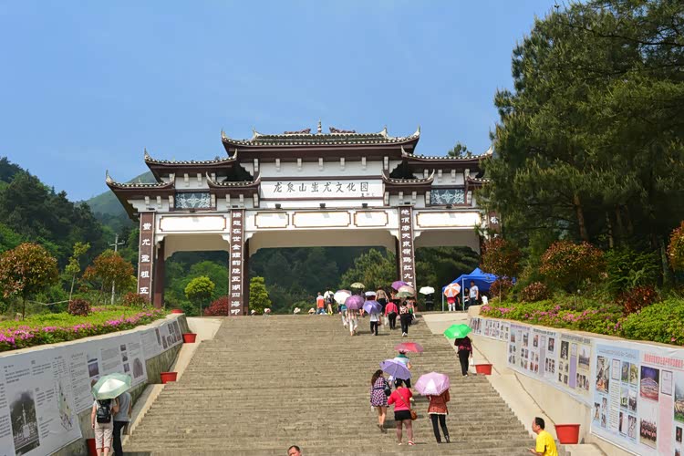 携媳妇孩子丹寨龙泉山观杜鹃花大量高清美图~~~手机党慎入