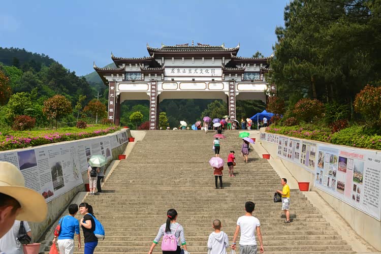 携媳妇孩子丹寨龙泉山观杜鹃花大量高清美图~~~手机党慎入