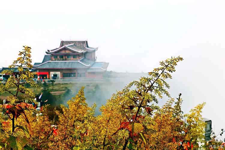 精【陪你一起看世界——四川站】d3雾中寻峨眉金顶 七里坪泡暖暖汤池