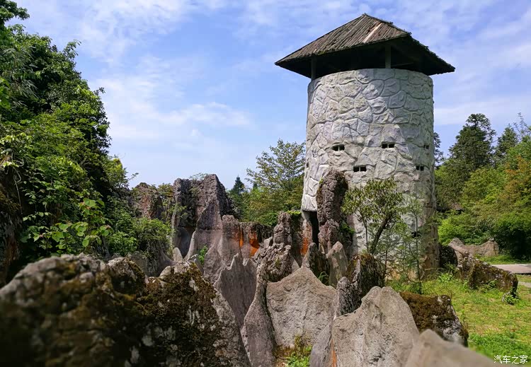 游华蓥山石林 石笋尖上找小猪, 生命根洞探人初.