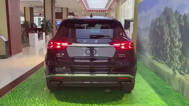 没白等2020款一汽红旗hs5到店展示